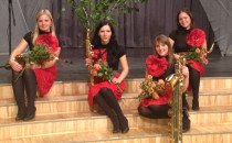 koncerts Aizkrauklē